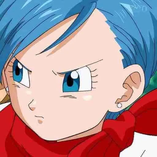 Bulma Adventure
